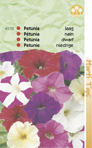 Petunia laag gemengd 0.79